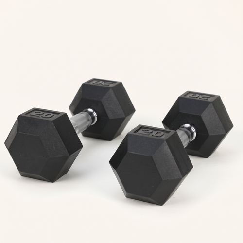 20 lb Rubber Hex Dumbbell Pair