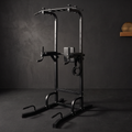 Multi-Function Pull-Up & Dip Power Tower
