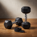 20 lb Rubber Hex Dumbbell Pair